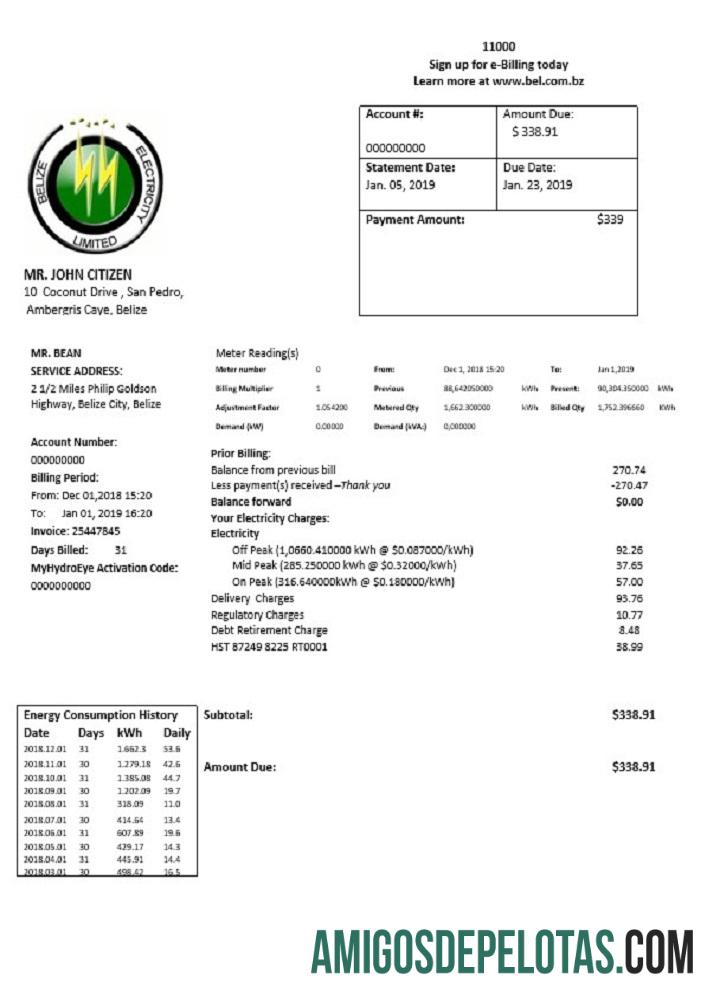 Para baixar modelo de conta de serviços públicos de eletricidade limitada da Belize Electricity em formato Word e PDF